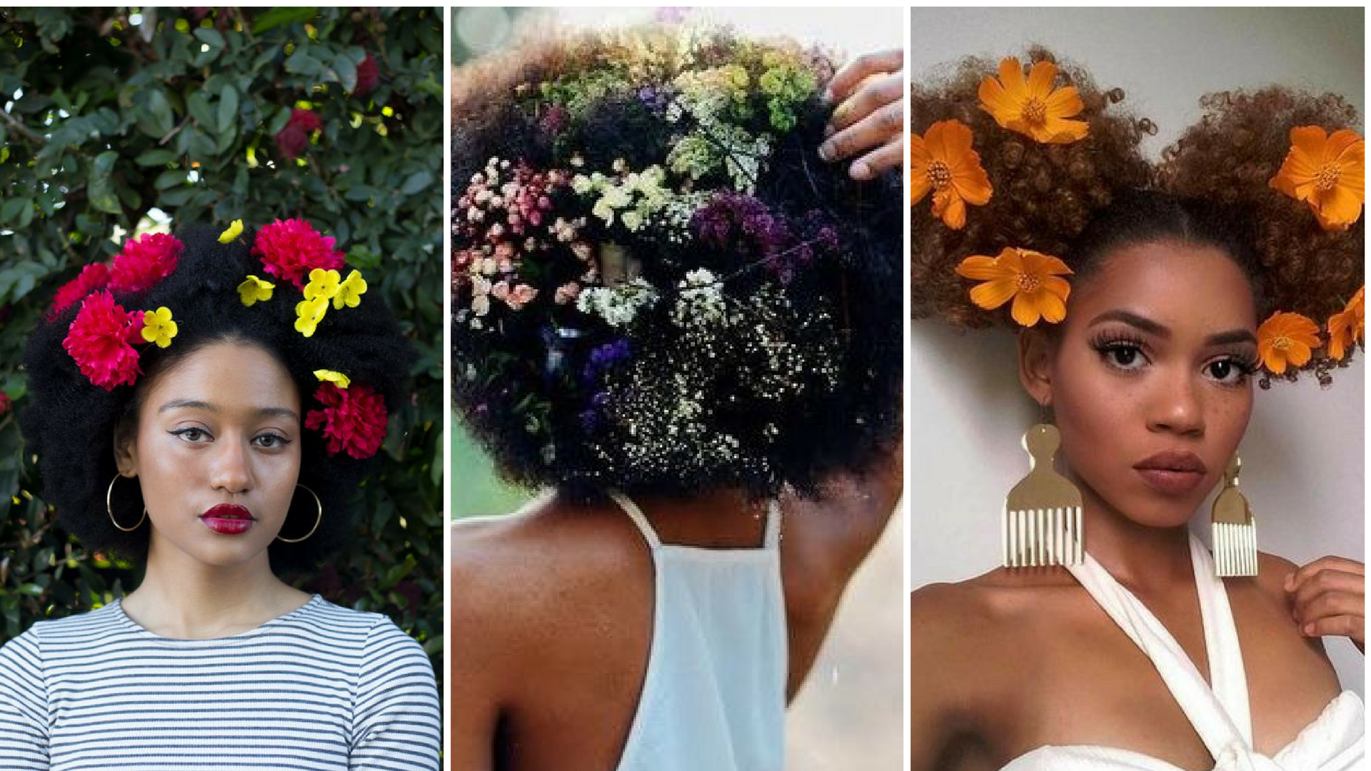 floral afro 