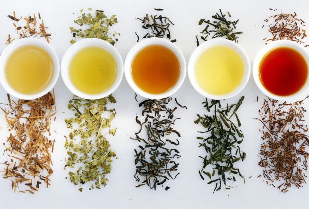 Quels sont les bienfaits du thé blanc ?
